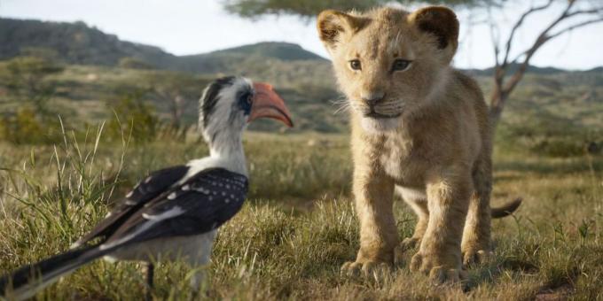 "शेर राजा": एक छोटे से सिम्बा और Zazu
