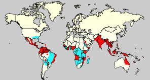 Zika वायरस: यह क्या है और चाहे या नहीं चिंता करने के लिए है