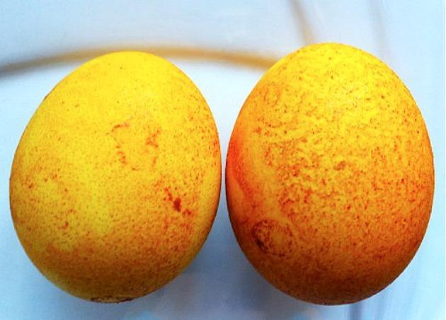 रसोई जीवन हैकिंग: ईस्टर के लिए अंडे के लिए प्राकृतिक रंगों