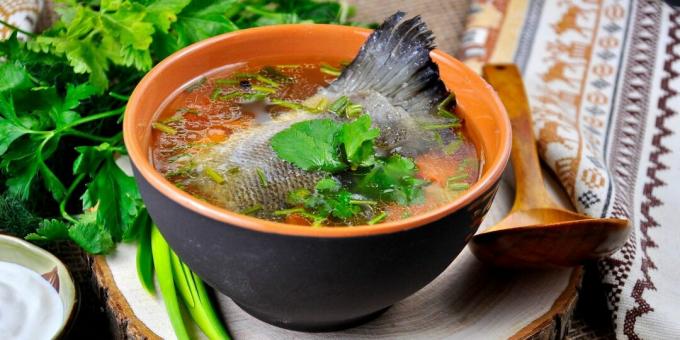 ट्राउट या सैल्मन टेल के साथ मछली का सूप