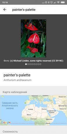 iNaturalist का उपयोग कर घर के अंदर पौधों के प्रकारों की पहचान