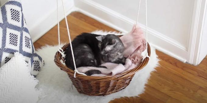 एक टोकरी से बिल्ली के लिए एक झूला बिस्तर कैसे बनाया जाए