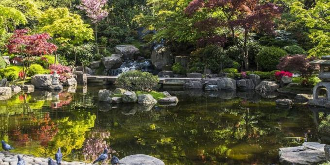 लंदन में देखने के लिए क्या: हॉलैंड पार्क में जापानी क्योटो गार्डन