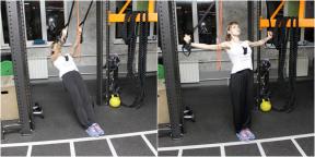 पाश सिमुलेटर पर प्रशिक्षण: मजबूत मांसपेशियों और स्वस्थ छाल वापस
