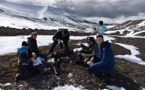आर्कटिक में अवकाश: उत्तरी सागर मीठा गर्म