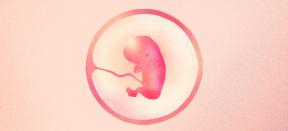 गर्भावस्था का 13वां सप्ताह: बच्चे और माँ का क्या होता है - Lifehacker