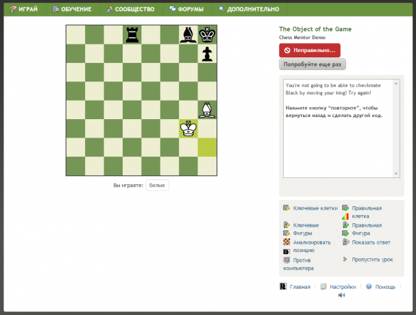 शतरंज संरक्षक Chess.com: कैसे खेलने के लिए शतरंज जानने के लिए