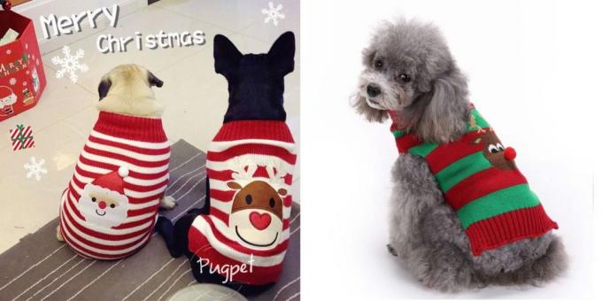 कुत्तों के लिए क्रिसमस वेशभूषा: स्वेटर
