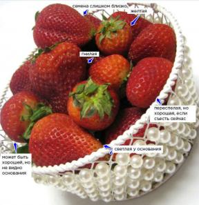 कैसे इस गर्मी में केवल सबसे रसदार, मीठा और सुगंधित स्ट्रॉबेरी का चयन करने पर 5 युक्तियाँ