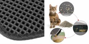 मस्ट-हव्स: ईवा बिल्ली कूड़े की चटाई जो आपके घर से कचरा निकालती है