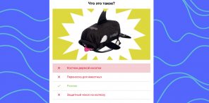 Lifehacker और goods.ru प्रतियोगिता खत्म हो गई है: पता लगाएँ कि निनटेंडो स्विच लाइट किसे मिली