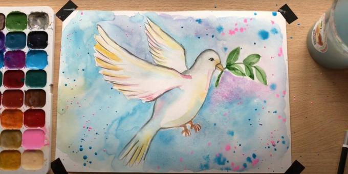 9 मई के लिए ड्रा: शांति की कबूतरबाजी