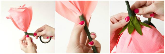 एक कागज गुलाब बनाने के लिए कैसे: निकासी