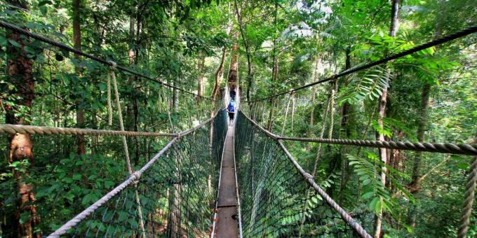 एशियाई क्षेत्र जानबूझकर पर्यटकों को आकर्षित: राष्ट्रीय उद्यान Taman नेगरा, मलेशिया