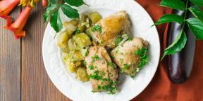10 व्यंजनों अविश्वसनीय रूप से स्वादिष्ट दम किया हुआ चिकन कर रहे हैं