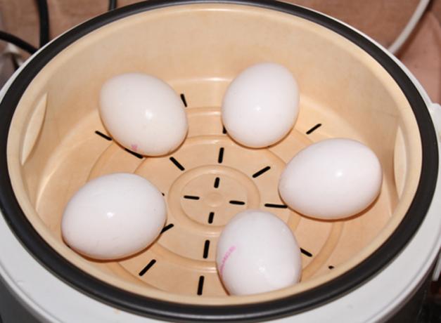 एक डबल बायलर या multivarka में अंडे खाना बनाना कैसे