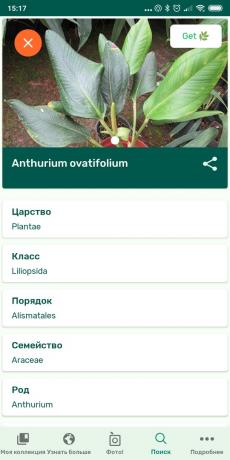 PlantSnap का उपयोग कर घर के अंदर पौधों के प्रकारों की पहचान