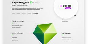 "Yandex में। ज़ेन "संक्षेप पदों तथा उपयोगकर्ता की टिप्पणियों के लिए आया था