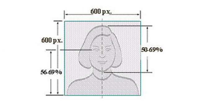 वीजा संयुक्त राज्य अमेरिका के: कैसे एक तस्वीर बनाने के लिए