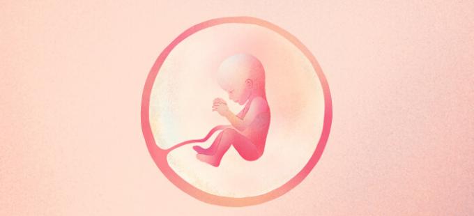 19 सप्ताह के गर्भ में शिशु कैसा दिखता है?