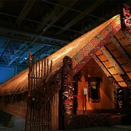 संग्रहालय न्यूजीलैंड के (ते पापा Tongarewa)