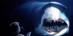 10 शार्क फिल्में जो आपको खुश करेंगी या डराएंगी