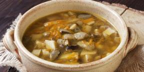 ताजा से 10 स्वादिष्ट सूप और सूखे से बेहतरीन किस्म मशरूम