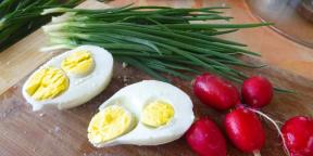 क्या दोष वाले चिकन अंडे खाना सुरक्षित है?