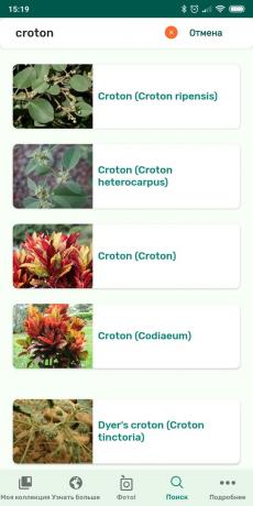 PlantSnap का उपयोग कर घर के अंदर पौधों के प्रकारों की पहचान