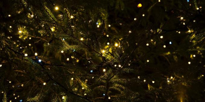 क्रिसमस परंपराओं: घर सजावट माला
