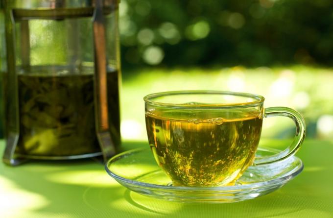 आदतें खो वजन में मदद मिलेगी: हरी चाय पीते हैं