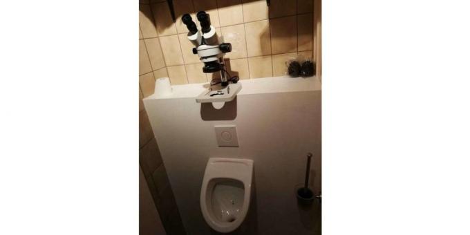 शौचालय में माइक्रोस्कोप