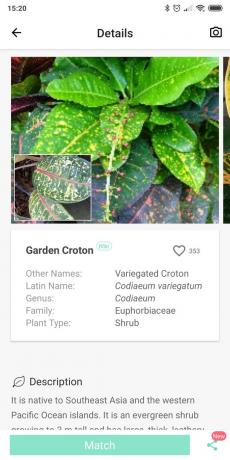 PictureThis का उपयोग कर घर के अंदर पौधों के प्रकारों की पहचान