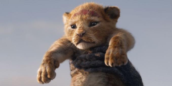 "शेर राजा": एक छोटे से सिम्बा