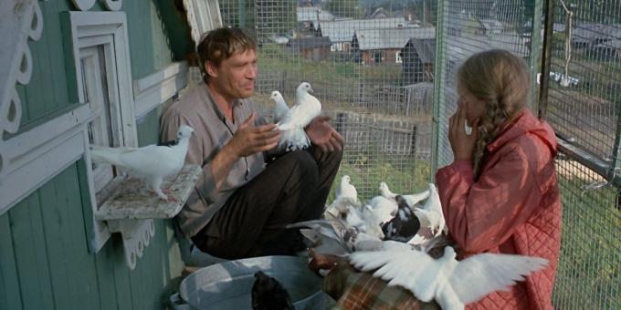 सोवियत फिल्मों: "प्यार और कबूतर"