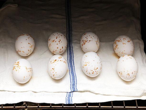 ओवन में अंडे खाना बनाना कैसे
