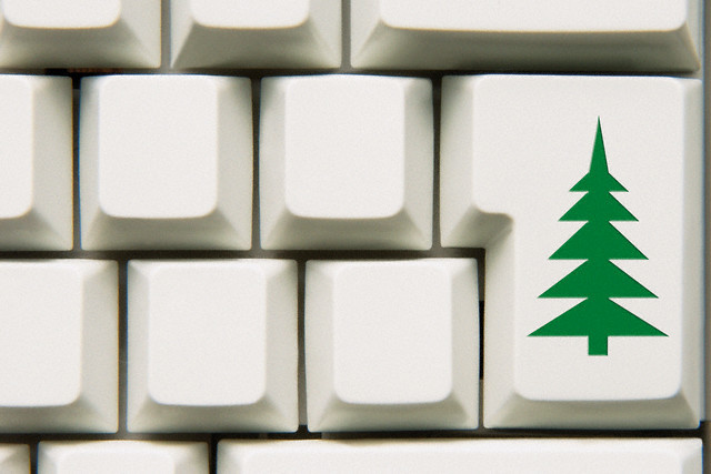 लाइव क्रिसमस का पेड़ - आदेश ऑनलाइन स्टोर