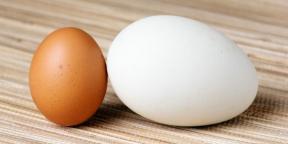 हंस अंडे कैसे और कैसे पकाने के लिए