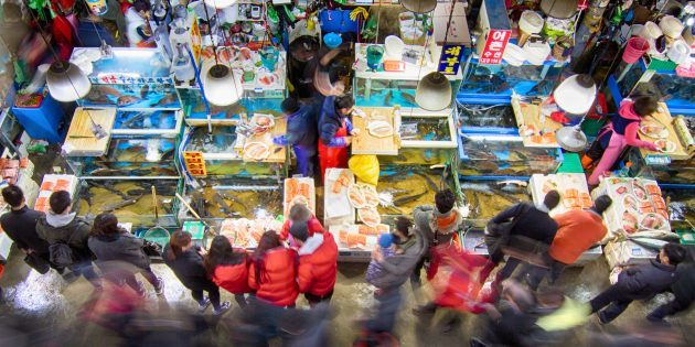 आकर्षण दक्षिण कोरिया: यह मछली बाजार का दौरा करने के लिए आवश्यक है