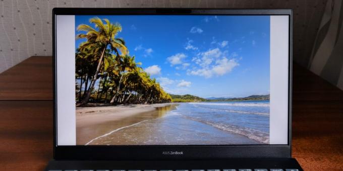 ASUS ZenBook 13 UX325 स्क्रीन