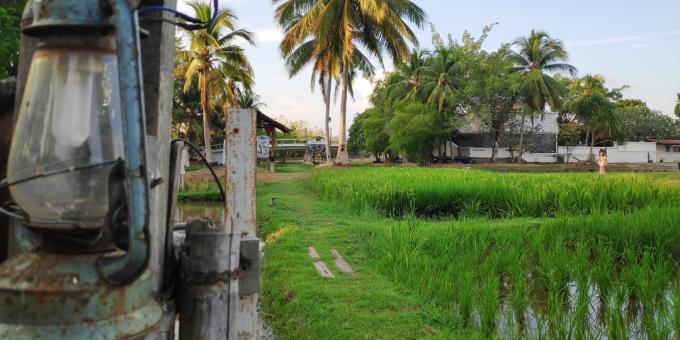 लैंगकॉवी स्थल: लामण पड़ी चावल संस्कृति संग्रहालय