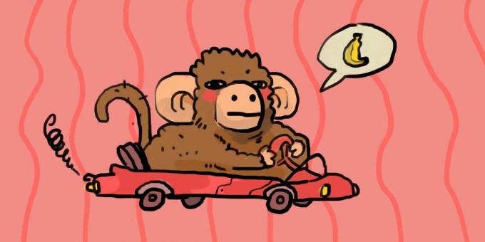 बंदर ड्राइविंग